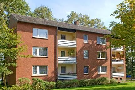 Wohnung Ibbenbüren Bockraden - 2 Zimmer, 64 m&sup2;, 519&euro; | Angebot:26624205