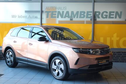 Opel Grandland (X) 10.100 km 29.900 &euro; Mettingen 49497