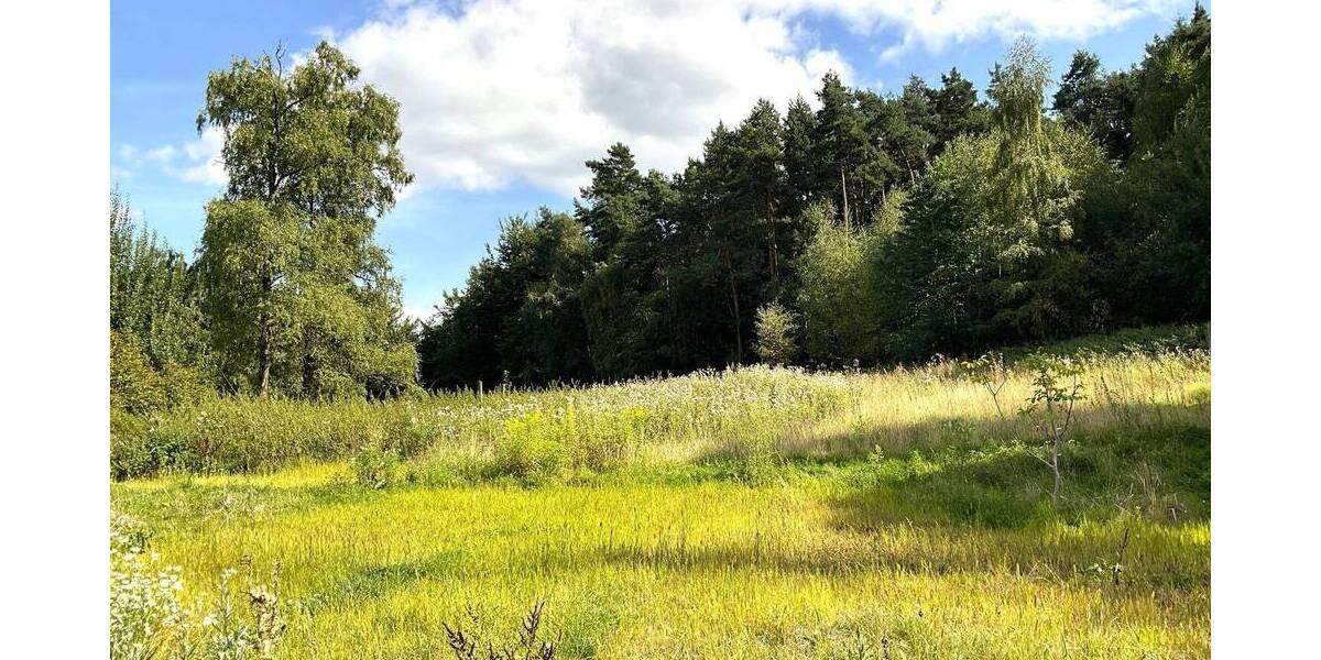 Bauernhaus, Landhaus Hörstel Riesenbeck - 1 Zimmer, 414 m&sup2;, 580.000&euro; | Angebot:25865289