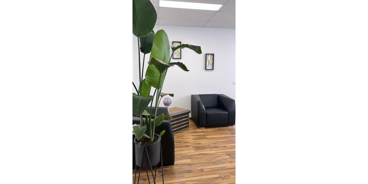 Gewerbeobjekt Saerbeck - 3.500&euro; | Angebot:24206026