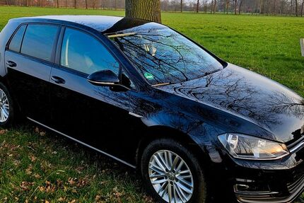 VW Golf 156.000 km 7.700 &euro; Wettringen 48493