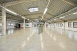 Gewerbeobjekt Lingen (Ems) - 3.950&euro; | Angebot:24442183
