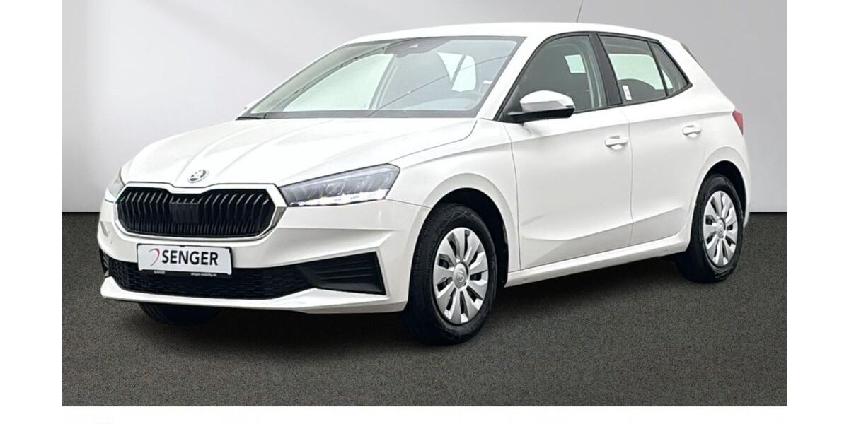 Skoda Fabia 27.907 km 17.980 &euro; Emsdetten 48282