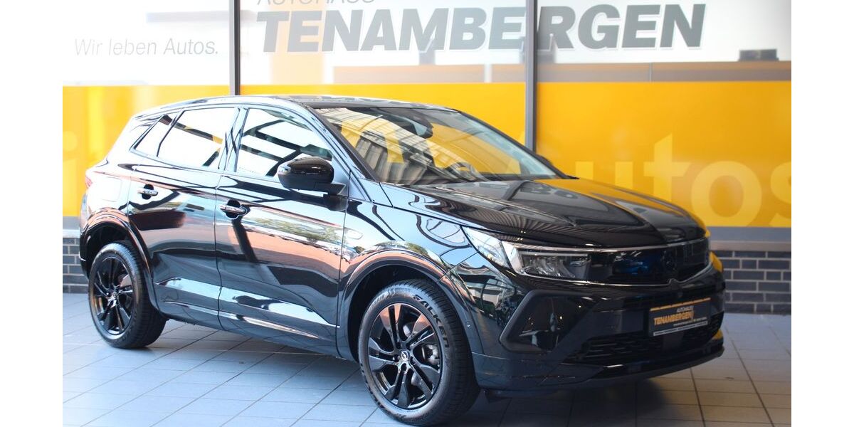 Opel Grandland (X) 9.500 km 25.850 &euro; Mettingen 49497
