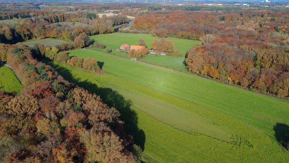 Mehrfamilienhaus, Wohnhaus Rheine Bentlage - 7 Zimmer, 205 m&sup2;, 2.262.000&euro; | Angebot:26015987