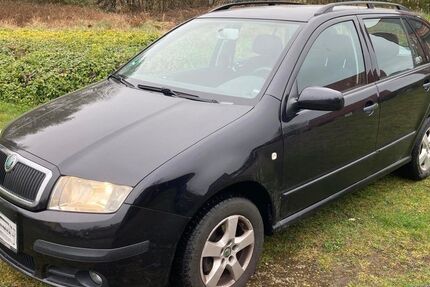 Skoda Fabia 138.850 km 2.550 &euro; Rheine 48432