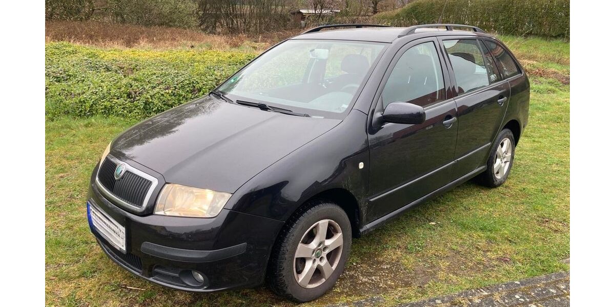 Skoda Fabia 138.850 km 2.550 &euro; Rheine 48432
