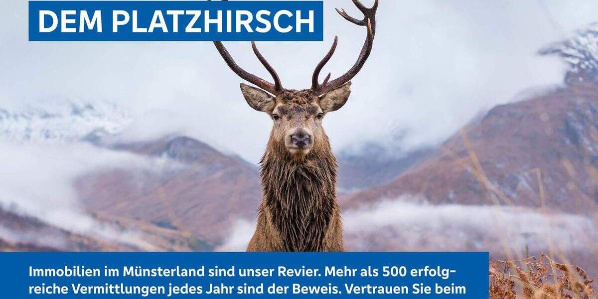 Etagenwohnung Rheine Schotthock - 2 Zimmer, 65 m&sup2;, 298.000&euro; | Angebot:25688538