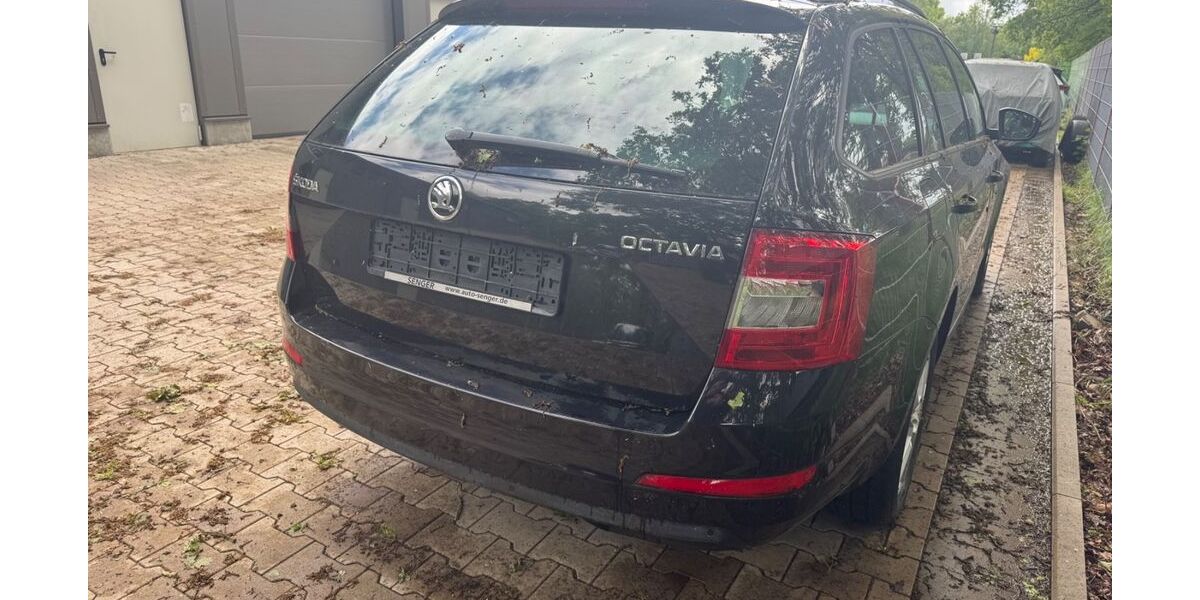 Skoda Octavia 336.000 km 5.300 &euro; Hörstel 48477