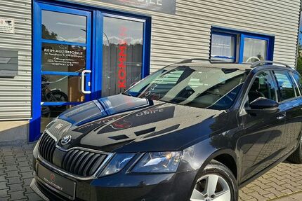 Skoda Octavia 124.355 km 12.350 &euro; Lingen 49811
