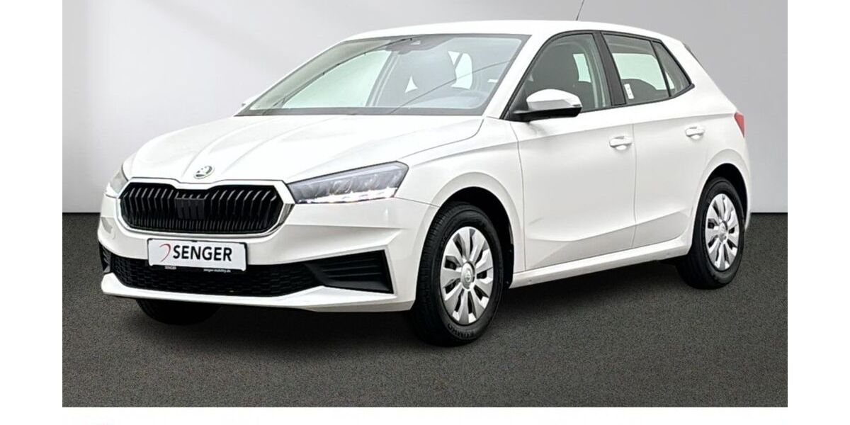 Skoda Fabia 21.490 km 13.880 &euro; Emsdetten 48282
