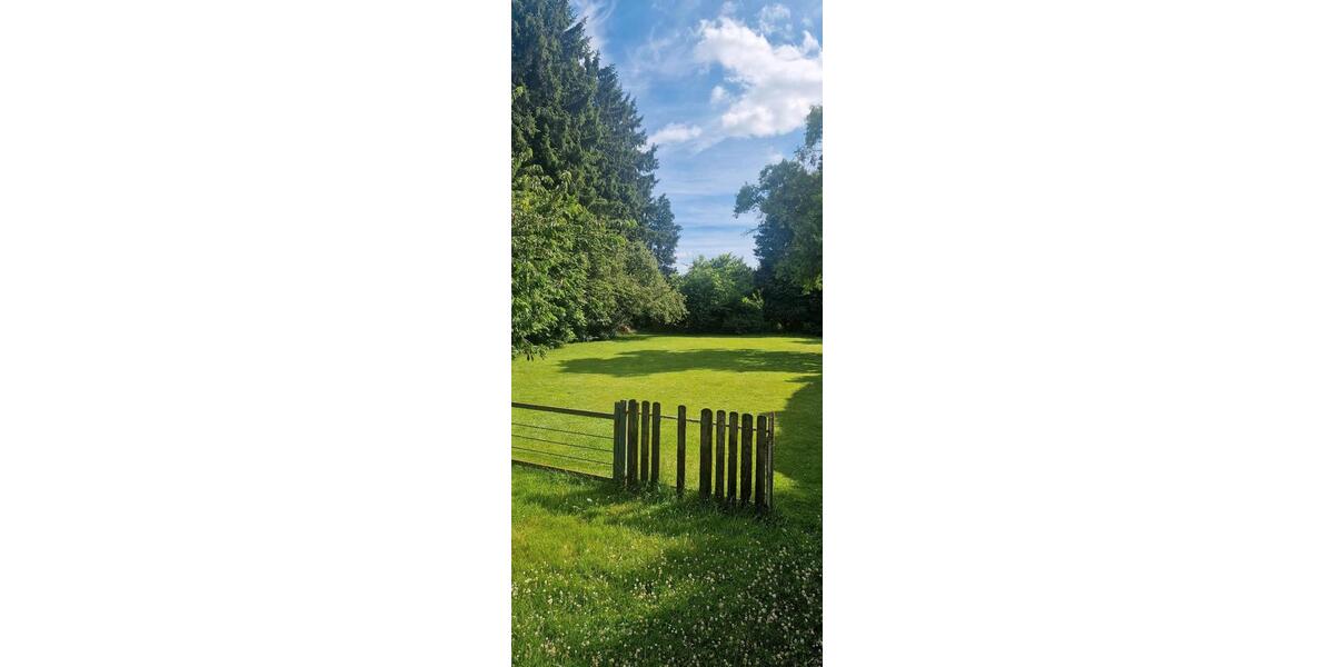 Einfamilienhaus Ibbenbüren - 4 Zimmer, 100 m&sup2;, 470.000&euro; | Angebot:26965492