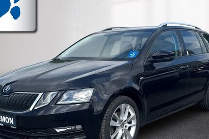 Skoda Octavia 149.874 km 14.780 &euro; Emsdetten 48282