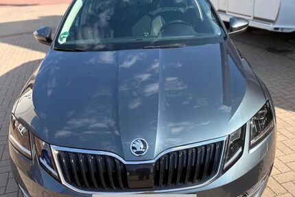 Skoda Octavia 139.559 km 14.500 &euro; Horstmar 48612