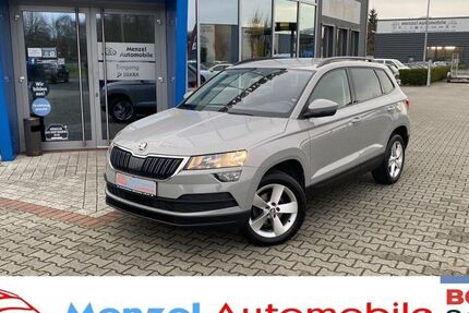 Skoda Karoq 105.119 km 17.700 &euro; Schüttorf 48465