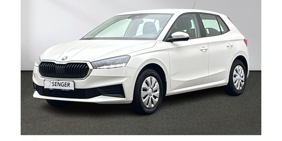 Skoda Fabia 25.333 km 18.280 &euro; Emsdetten 48282