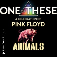 One Of These – A celebration of Pink Floyd / Animals Tour 04.12.2026 Forum Daun
