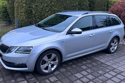 Skoda Octavia 249.500 km 11.899 &euro; Lingen 49811