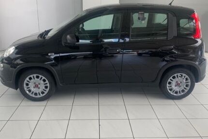 Fiat Panda 9.620 km 11.950 &euro; Rheine 48432