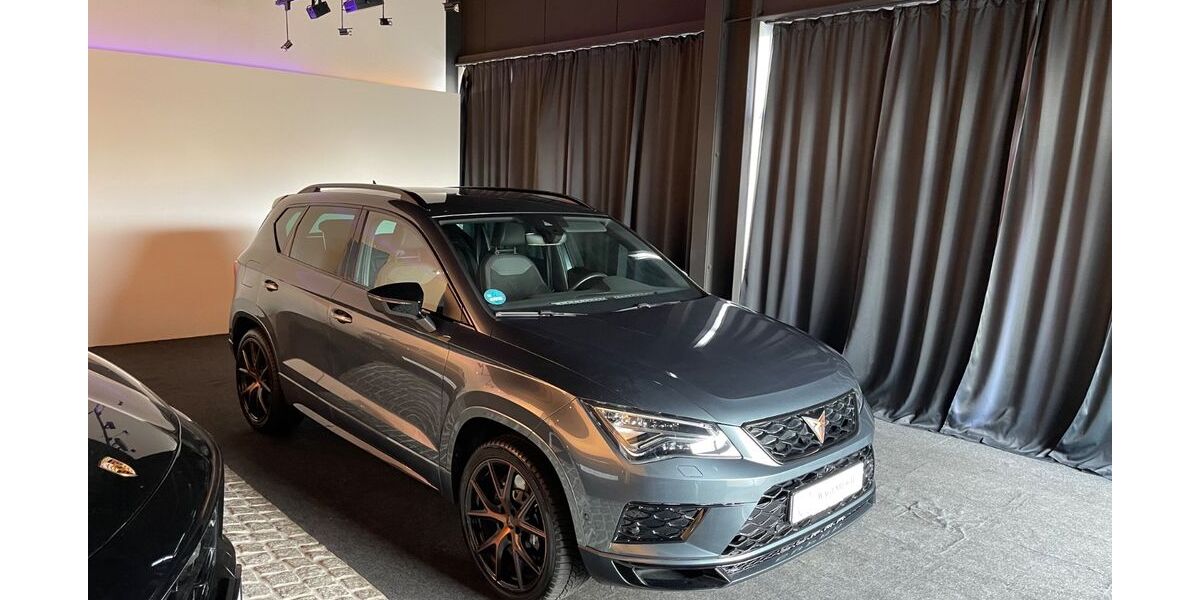Cupra Ateca 88.900 km 26.990 &euro; Schapen 48480