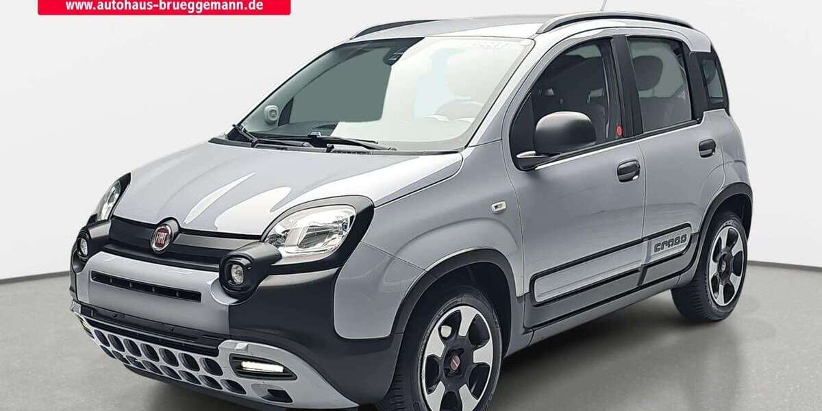 Fiat Panda 38.130 km 10.790 &euro; Rheine 48432
