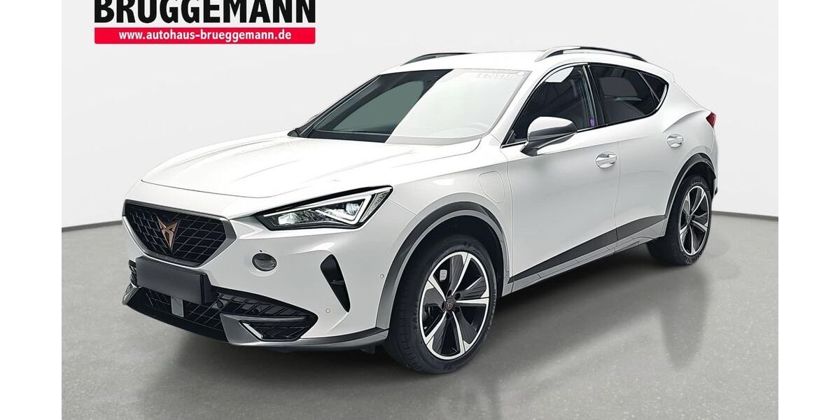 Cupra Formentor 28.220 km 27.890 &euro; Rheine 48432