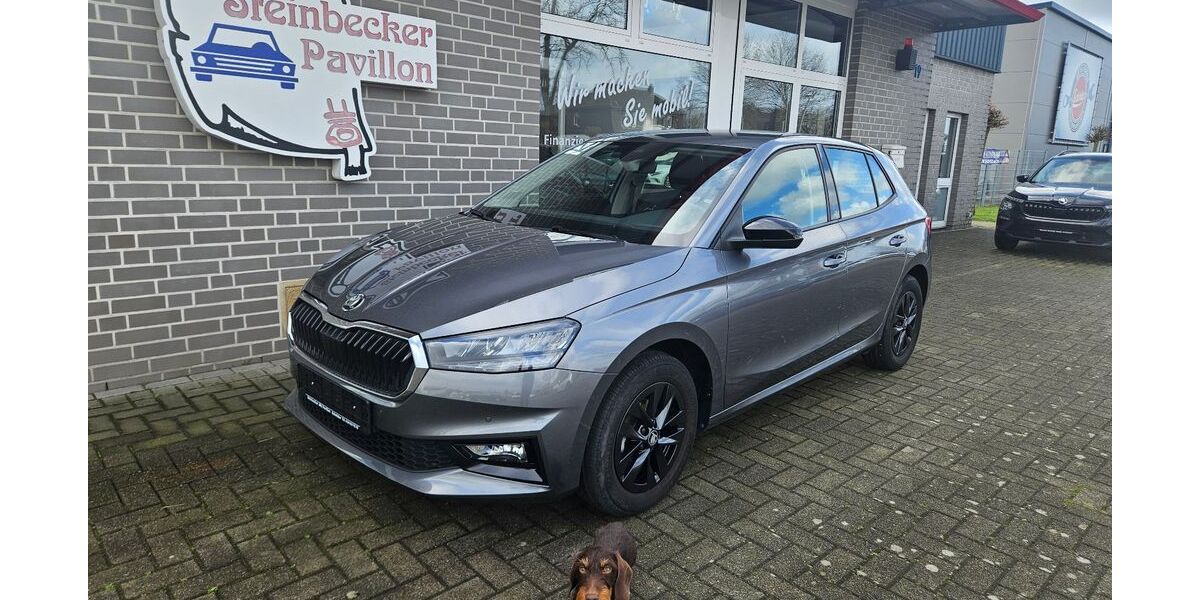 Skoda Fabia 24.845 km 17.490 &euro; Recke 49509