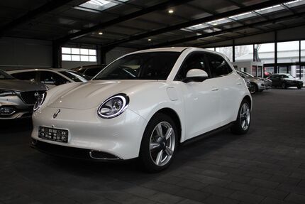 ORA Funky Cat 10.900 km 20.490 &euro; Andervenne 49832