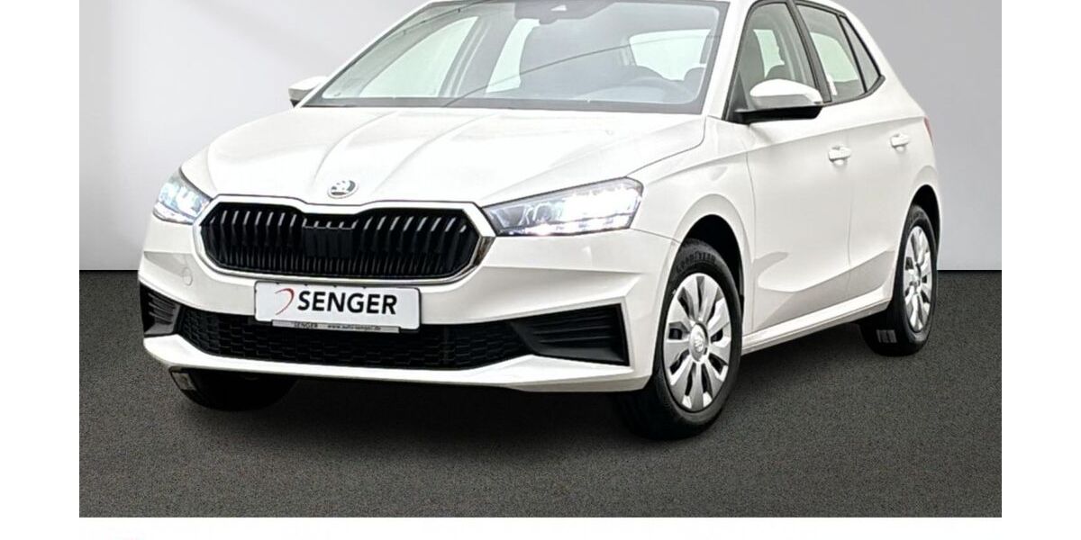 Skoda Fabia 44.940 km 16.680 &euro; Emsdetten 48282
