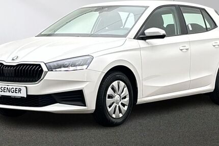 Skoda Fabia 25.543 km 17.480 &euro; Emsdetten 48282