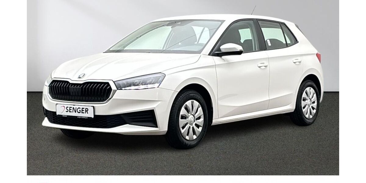Skoda Fabia 25.543 km 17.480 &euro; Emsdetten 48282