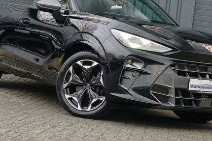 Cupra Terramar 13.535 km 38.444 &euro; Rheine 48432
