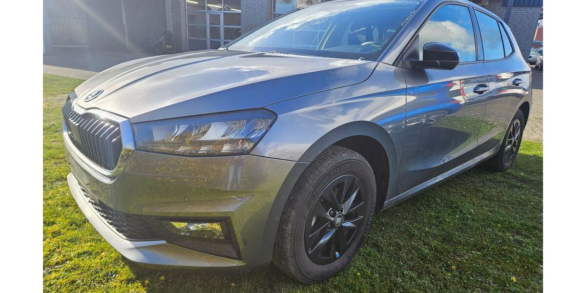 Skoda Fabia 24.845 km 17.690 &euro; Recke 49509