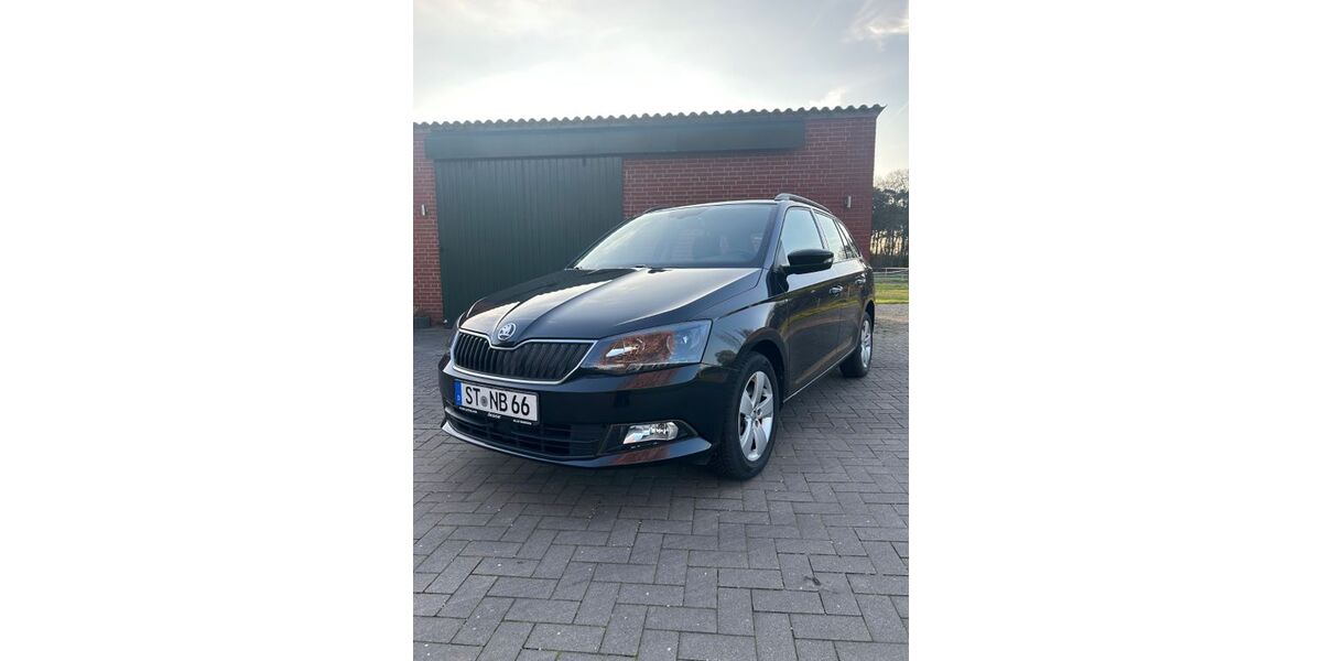 Skoda Fabia 30.230 km 13.700 &euro; Greven 48268