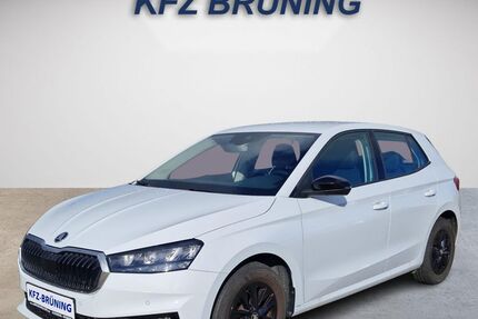 Skoda Fabia 18.027 km 17.280 &euro; Lingen (Ems) 49811