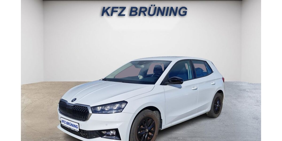 Skoda Fabia 18.027 km 17.280 &euro; Lingen (Ems) 49811