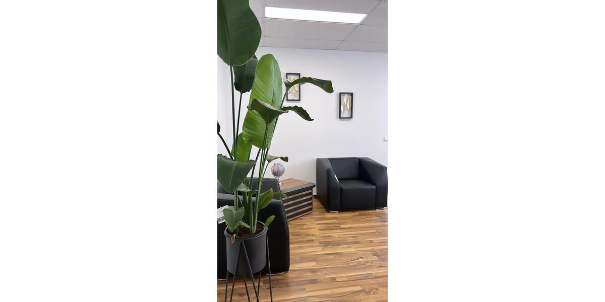 Gewerbeobjekt Saerbeck - 4.000&euro; | Angebot:23078329