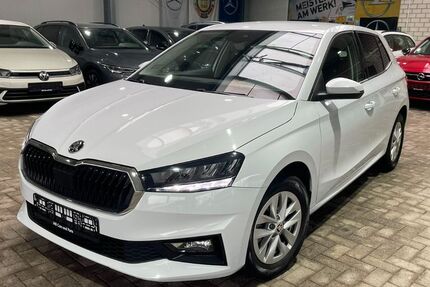 Skoda Fabia 70.657 km 15.999 &euro; Hörstel-Bevergern 48477