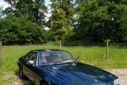 Jaguar XJS 188.000 km 22.800 &euro; Mettingen 49497