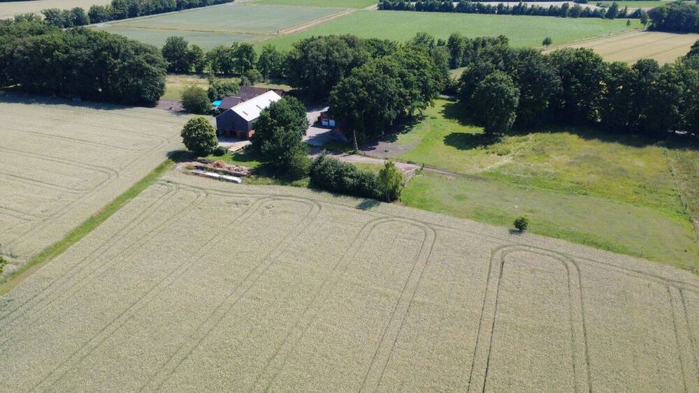 Mehrfamilienhaus, Wohnhaus Ladbergen - 649.000&euro; | Angebot:26015984