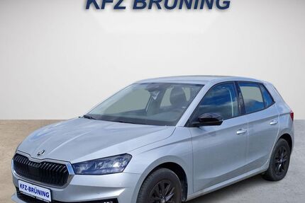 Skoda Fabia 8.805 km 17.580 &euro; Lingen (Ems) 49811