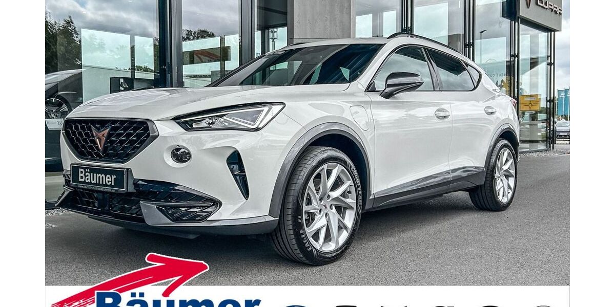 Cupra Formentor 83.945 km 25.890 &euro; Ibbenbüren 49479