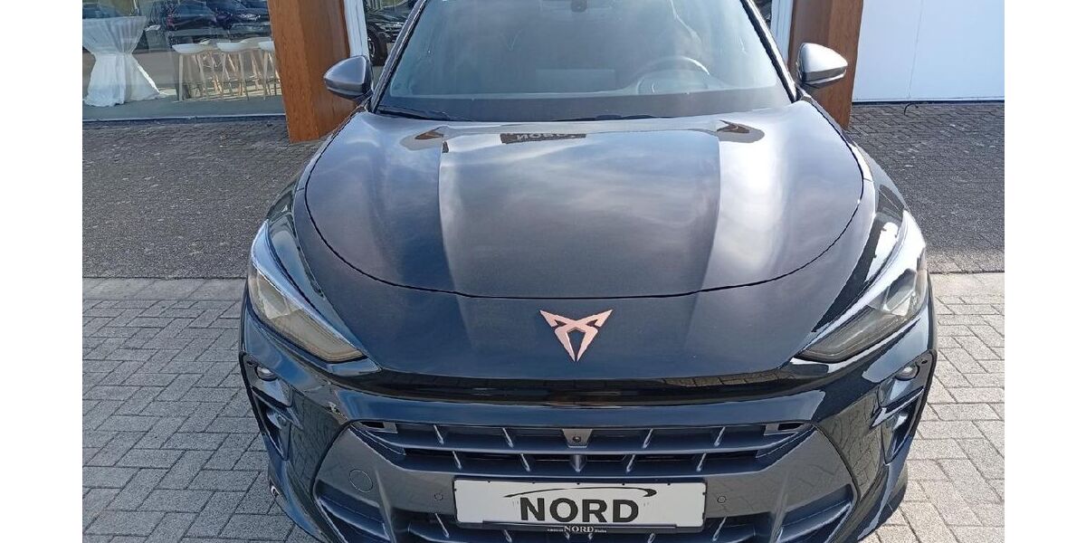 Cupra Terramar 27.374 km 34.450 &euro; Rheine 48432