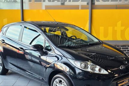 Ford Fiesta 76.832 km 7.900 &euro; Mettingen 49497