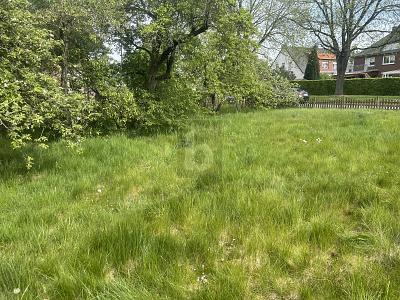 HEUTE EIGENTÜMER WERDEN - MORGEN BAUEN - Grundstück Metelen | Angebot:26522414