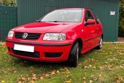 VW Polo 230.000 km 1.950 &euro; Mettingen 49497