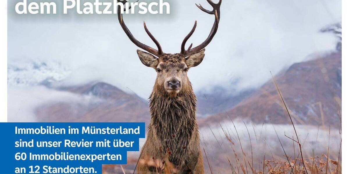 Einfamilienhaus Steinfurt Burgsteinfurt - 5 Zimmer, 186 m&sup2;, 439.000&euro; | Angebot:26092853