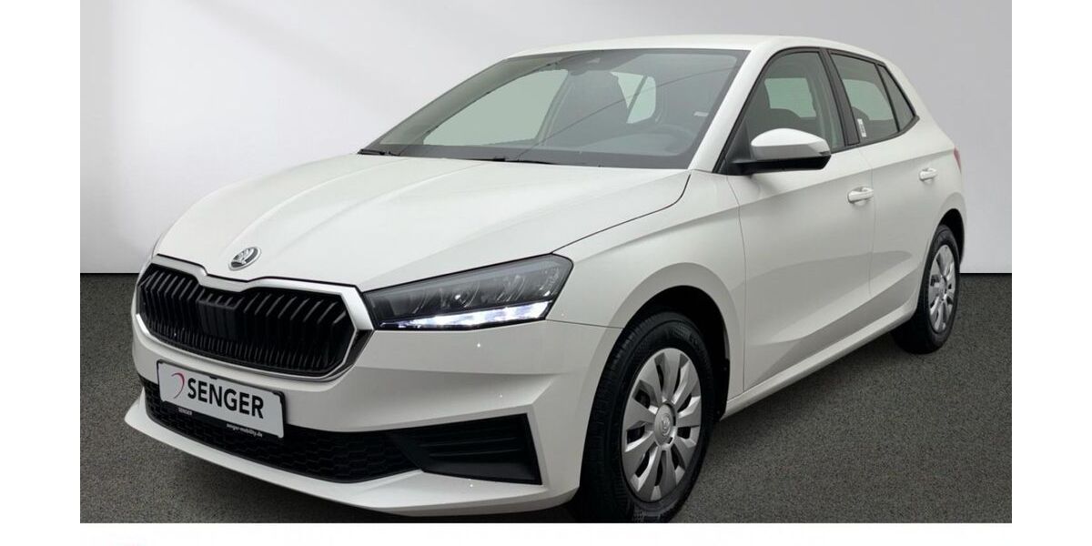 Skoda Fabia 20.748 km 14.880 &euro; Emsdetten 48282