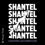 Shantel & Bucovina Club Soundsystem