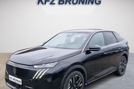 Peugeot 3008 19.896 km 23.780 &euro; Lingen (Ems) 49811